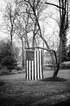 Phil Penman, Nyack Garden, Photograph, 24 × 20in. (61 × 50.8cm), Courtesy of the artist, New York, New York