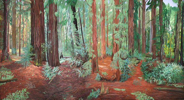 Harry Pattison, Redwood Forest, Oil on canvas, Overall: 47 3/8 × 85 1/4 × 1 3/4 in. (120.3 × 216.5 × 4.4 cm), Collection of Art in Embassies, Washington, D.C.; Gift of Abbott Pattison